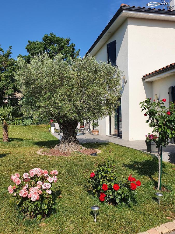Apartament L'Olivier Mornant Zewnętrze zdjęcie