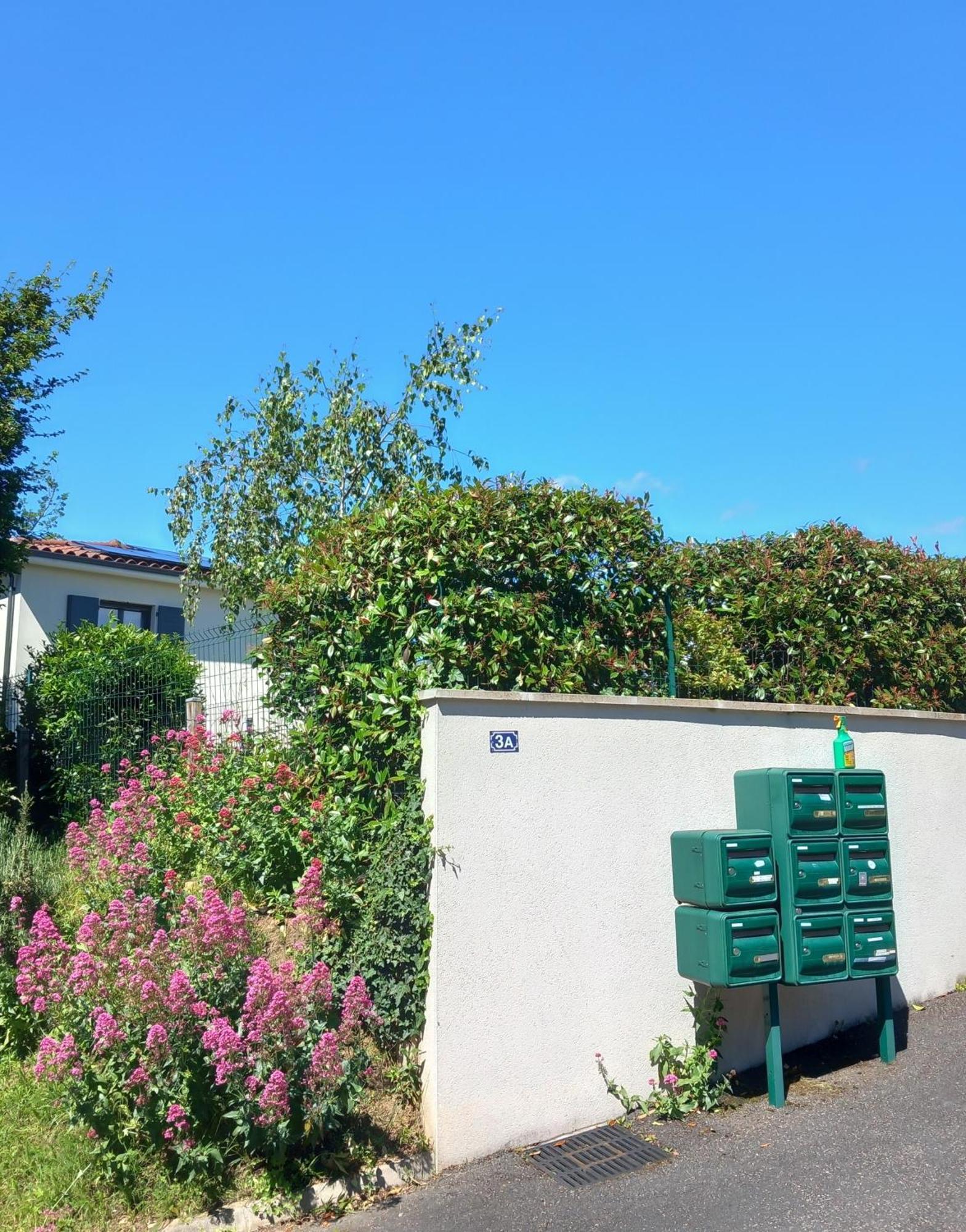 Apartament L'Olivier Mornant Zewnętrze zdjęcie