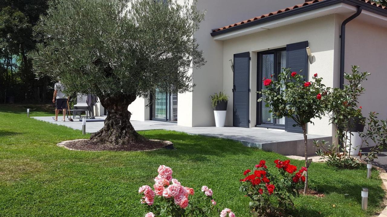 Apartament L'Olivier Mornant Zewnętrze zdjęcie